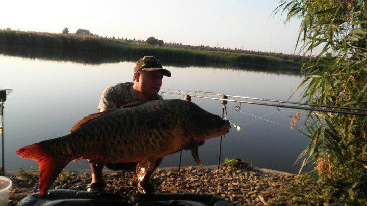 CONCURS LIKE-URI  - VOT PE FACEBOOK  - Stanga Lucian